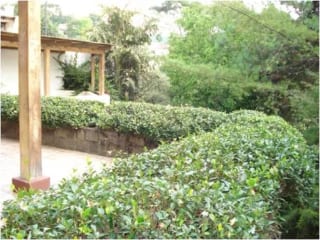 Zona 10 Casa en venta — miniatura 2 de 6